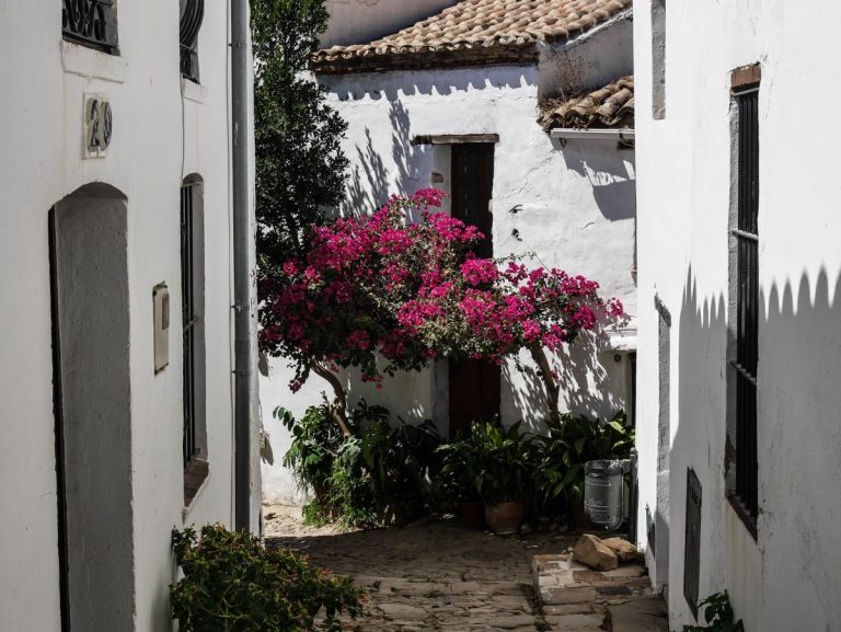 Dans les rues de castellar de la frontera